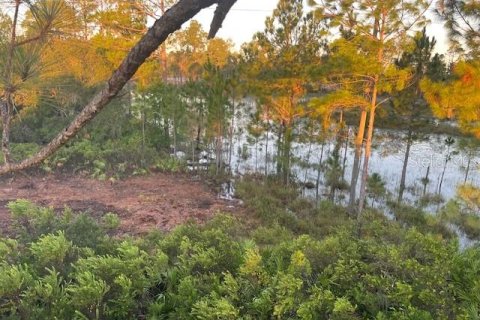 Terrain à DeLand, Floride № 2156577