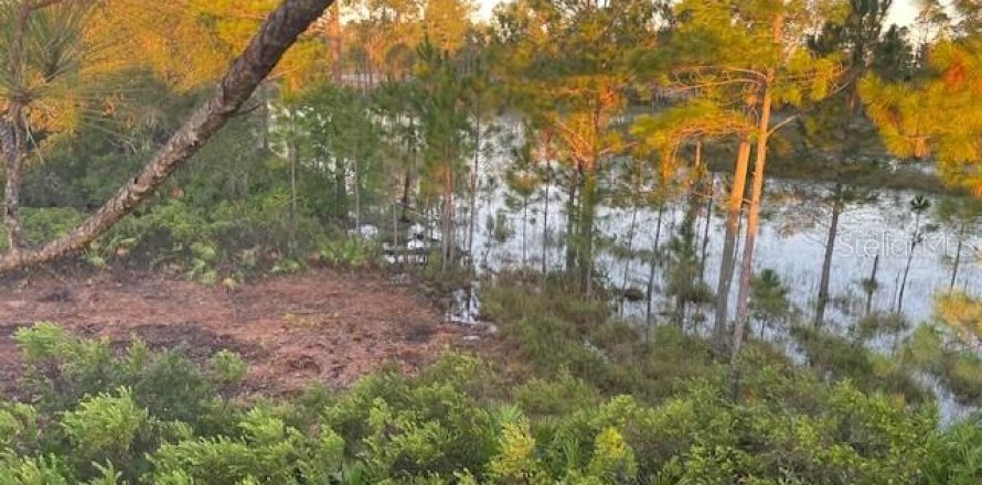 Terrain à DeLand, Floride № 2156577