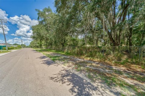 Land in Plant City, Florida № 2206371 - photo 12