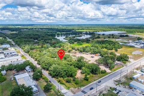 Land in Plant City, Florida № 2206371 - photo 7