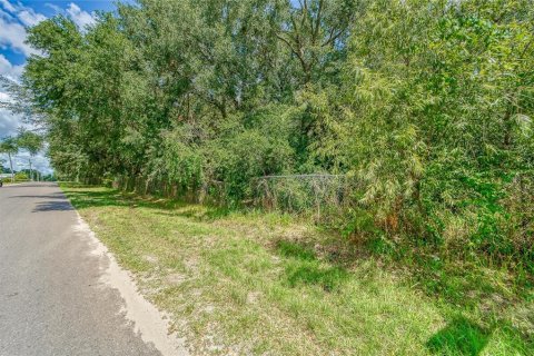 Land in Plant City, Florida № 2206371 - photo 14