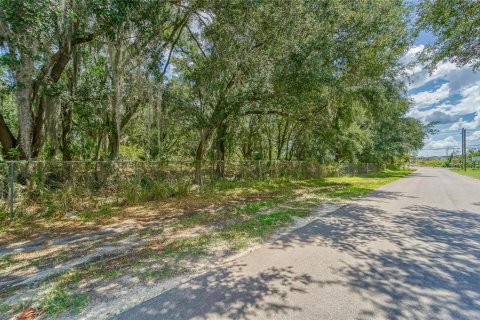 Land in Plant City, Florida № 2206371 - photo 10