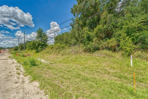 Land in Plant City, Florida № 2206371 - photo 2
