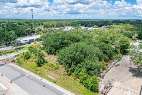 Land in Plant City, Florida № 2206371 - photo 9