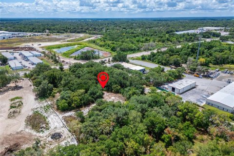 Land in Plant City, Florida № 2206371 - photo 30