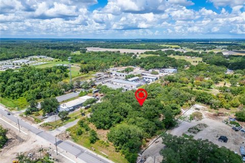 Land in Plant City, Florida № 2206371 - photo 21