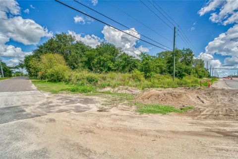 Land in Plant City, Florida № 2206371 - photo 23