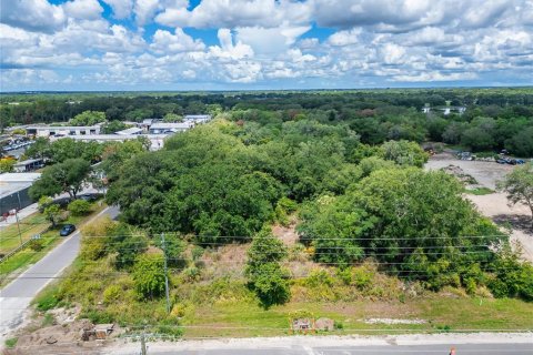 Land in Plant City, Florida № 2206371 - photo 4