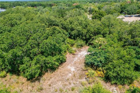 Land in Plant City, Florida № 2206371 - photo 3