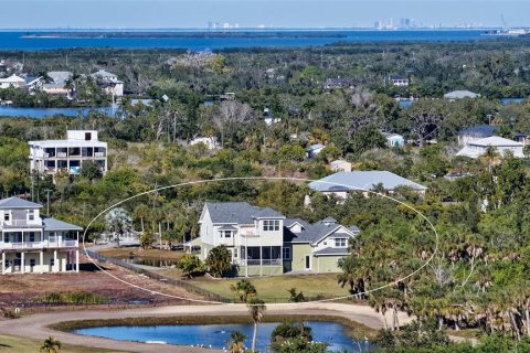 House in Terra Ceia, Florida 3 bedrooms, 376.72 sq.m. № 2213225 - photo 6
