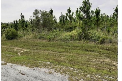 Купить земельный участок в Индиан Лейк Эстейтс, Флорида № 2165004 - фото 6