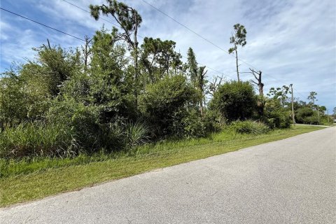 Land in Port Charlotte, Florida № 2224083 - photo 5