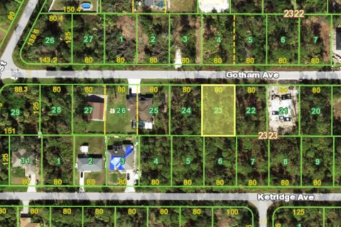 Land in Port Charlotte, Florida № 2224083 - photo 8