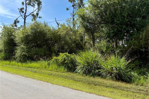 Land in Port Charlotte, Florida № 2224083 - photo 6