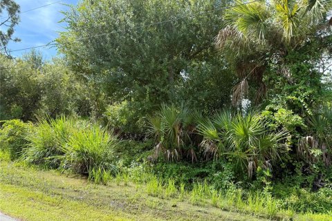 Land in Port Charlotte, Florida № 2224083 - photo 7