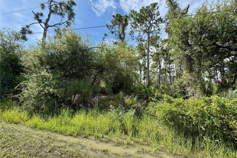 Land in Port Charlotte, Florida № 2224083 - photo 3