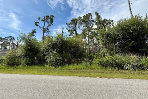 Land in Port Charlotte, Florida № 2224083 - photo 4