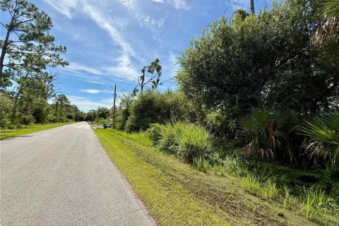 Land in Port Charlotte, Florida № 2224083