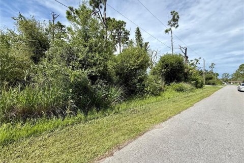 Land in Port Charlotte, Florida № 2224083 - photo 2