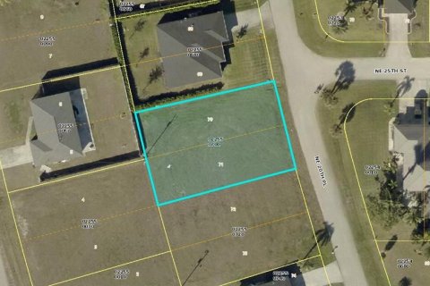 Land in Cape Coral, Florida № 1908840 - photo 1