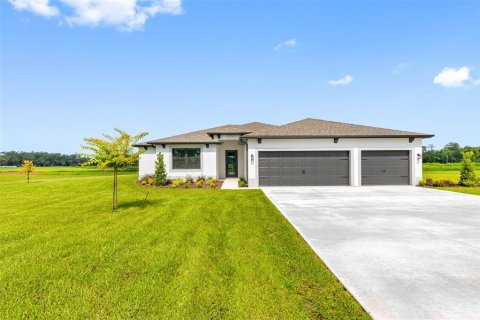 Villa ou maison à Dover, Floride 5 chambres, 223.8 m2 № 2280648