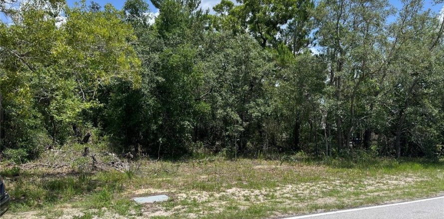 Terrain à Spring Hill, Floride № 2213678