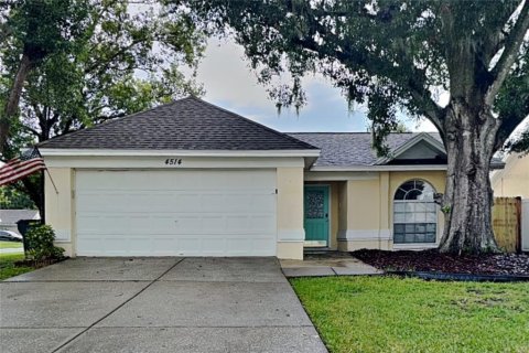 Villa ou maison à Valrico, Floride 3 chambres, 107.77 m2 № 2330959