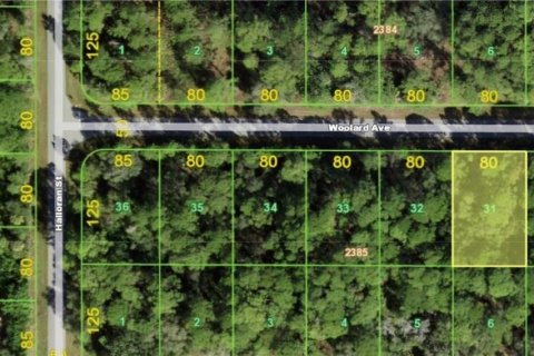 Land in Port Charlotte, Florida № 2164978