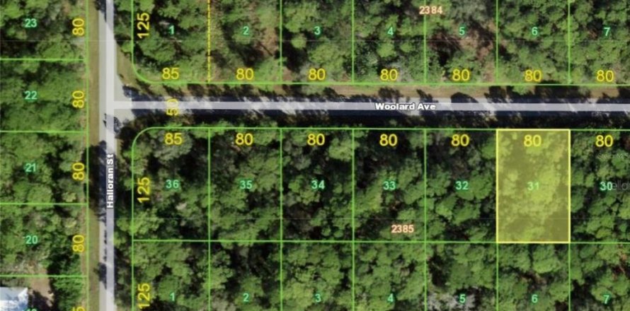 Land in Port Charlotte, Florida № 2164978