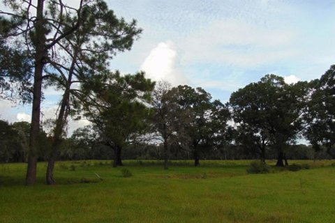 Terrain à vendre à Jacksonville, Floride № 2205193 - photo 4
