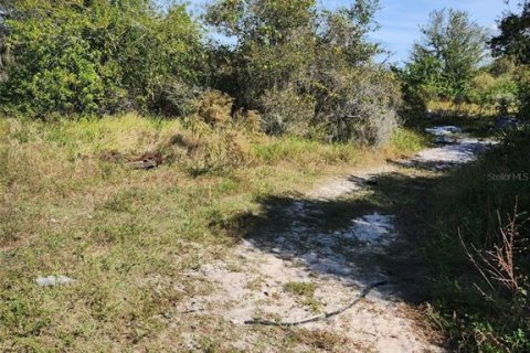 Land in Frostproof, Florida № 1847416 - photo 8