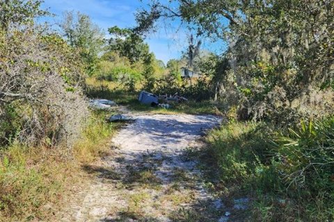 Land in Frostproof, Florida № 1847416 - photo 6