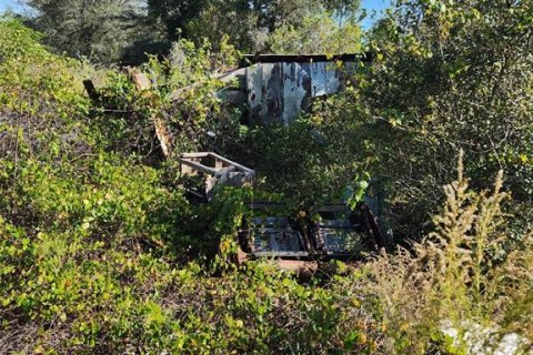 Land in Frostproof, Florida № 1847416 - photo 7