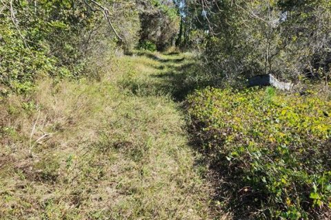 Land in Frostproof, Florida № 1847416 - photo 3