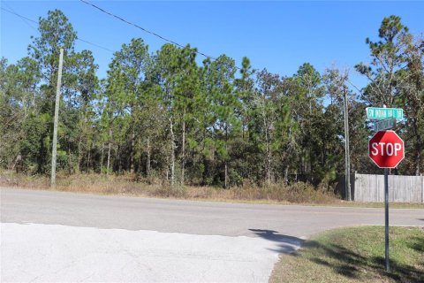 Land in Dunnellon, Florida № 2158773 - photo 3