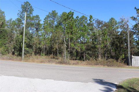 Land in Dunnellon, Florida № 2158773 - photo 12