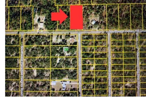 Land in Dunnellon, Florida № 2158773 - photo 14