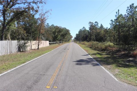 Land in Dunnellon, Florida № 2158773 - photo 9