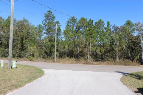 Land in Dunnellon, Florida № 2158773 - photo 4