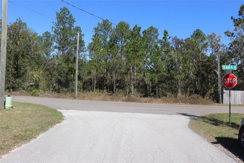 Land in Dunnellon, Florida № 2158773 - photo 2