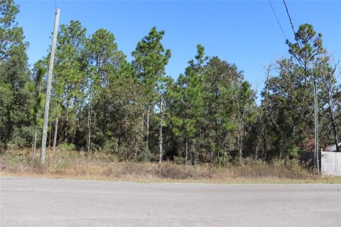 Land in Dunnellon, Florida № 2158773 - photo 5
