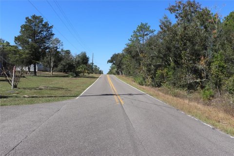 Land in Dunnellon, Florida № 2158773 - photo 10