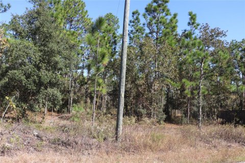 Land in Dunnellon, Florida № 2158773 - photo 13