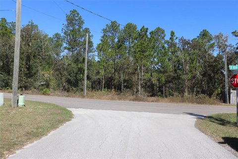 Land in Dunnellon, Florida № 2158773 - photo 7