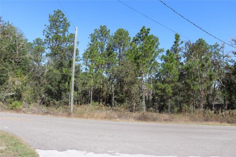 Land in Dunnellon, Florida № 2158773 - photo 6