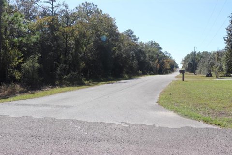 Land in Dunnellon, Florida № 2158773 - photo 8