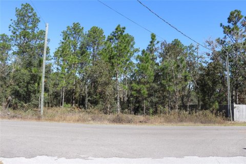 Land in Dunnellon, Florida № 2158773