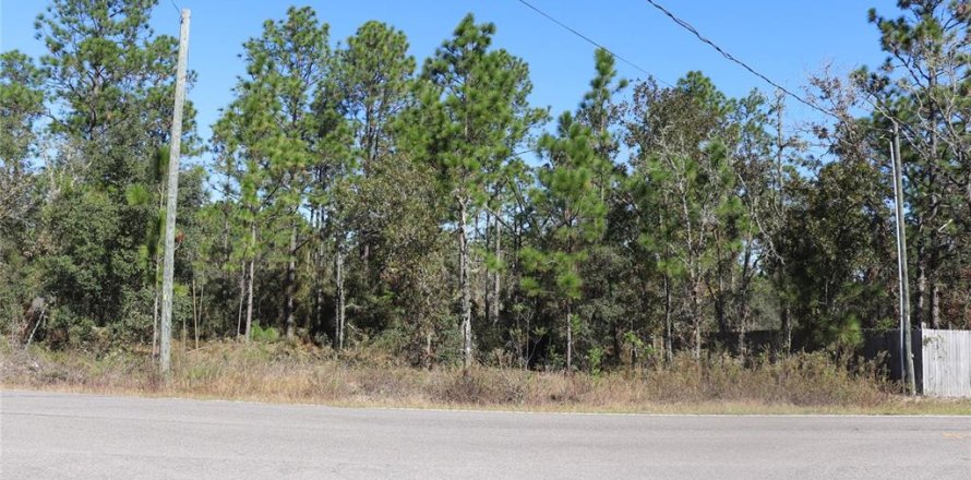 Land in Dunnellon, Florida № 2158773