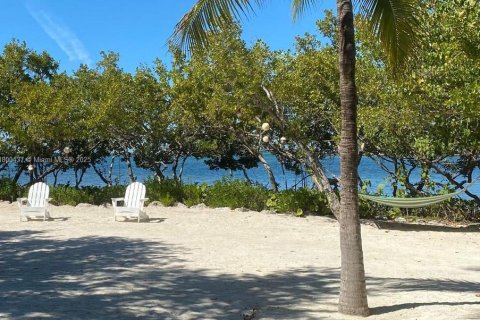 Condo in Tavernier, Florida, 2 bedrooms  № 1728340 - photo 13