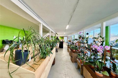 Commercial property in Saint Petersburg, Florida 250.84 sq.m. № 2201176 - photo 10